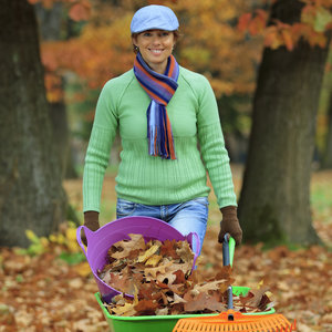 Pozbywanie się liści z trawnika
