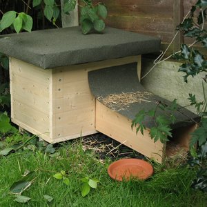 Jak zapewnić jeżowi bezpieczeństwo?