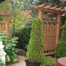 Jak zbudować w ogrodzie trejaż?