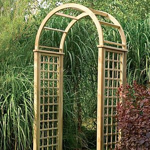 Trejaż czy pergola?