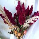 Jak pielęgnować amarantus?