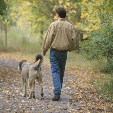 Psia higiena na spacerach – podstawowe zasady