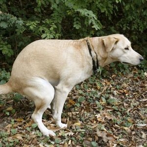 Dlaczego nie sprzątamy?