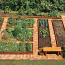 Jak przygotować rabatę warzywną?