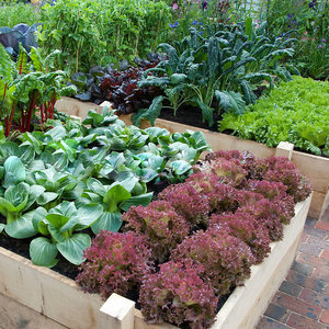 Rabaty wysokie jako grządki warzywne