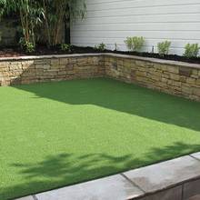 Jak pielęgnować trawnik?