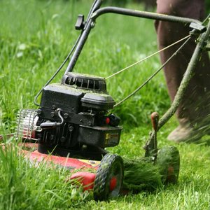 Jakich błędów unikać przy koszeniu?