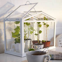 Domowa miniszklarnia – jak ją zbudować?