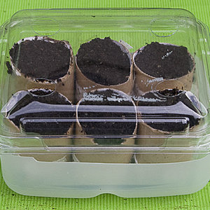 Domowa miniszklarnia – sposób szósty