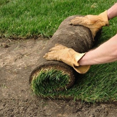 Jak uzupełnić łyse miejsca na trawniku?