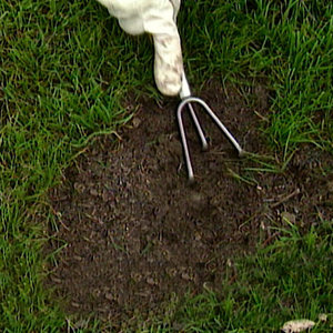 Przygotowanie podłoża