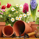 Jakie prace trzeba wykonać w ogrodzie na wiosnę?