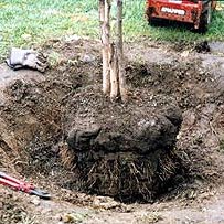 Jak przygotować stanowisko?