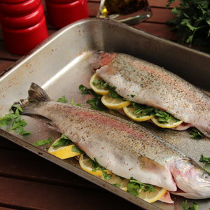 Potrzebne składniki