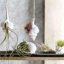 Jak wykonać kwietnik wiszący z muszli?