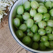 Sposób przygotowania placka agrestowego