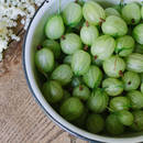 Sposób przygotowania placka agrestowego