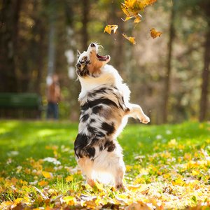 Uwaga na środki chemiczne