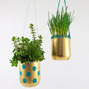 Jak zrobić ozdobne doniczki z plastikowych butelek?