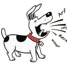 Jak sobie poradzić z hałaśliwym psem?