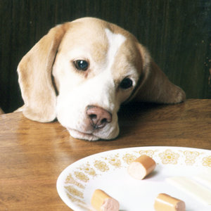 Konsekwencja przede wszystkim