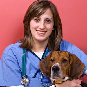 Jak chronić psa przed kleszczami?