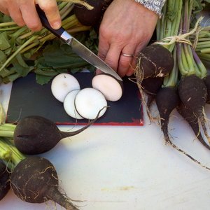 Dla układu trawiennego