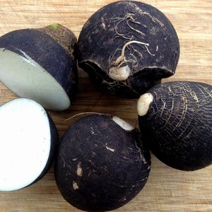 Działanie antygrzybiczne