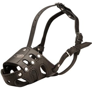 Wady i zalety kagańców skórzanych