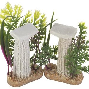 Rośliny i dekoracje