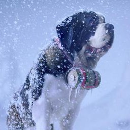 Czy alkohol rozgrzewa?