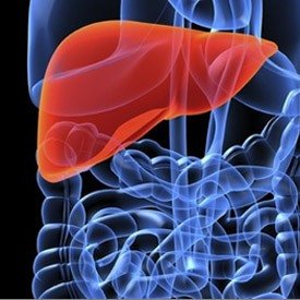 Alkohol toksyczny dla wątroby