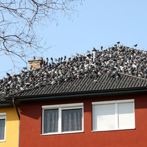 Czy te metody są skuteczne?