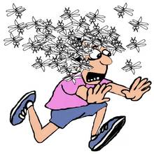 Jak pozbyć się komarów ze swojego otoczenia?