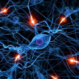 Co warto wiedzieć o ataku padaczki?