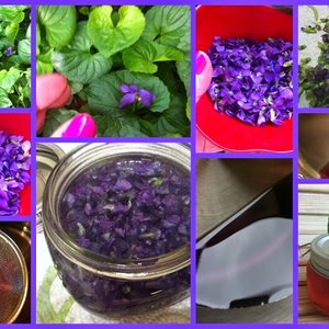 Zalety syropu z fiołków