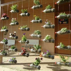 Jak założyć ogród wertykalny – krok szósty