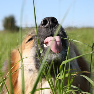 Powód pierwszy – uzupełnianie diety