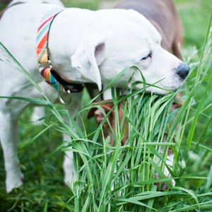 Powód piąty – nuda