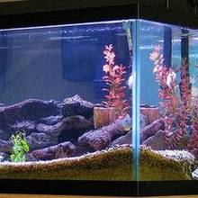 Uszczelnianie akwarium krok po kroku