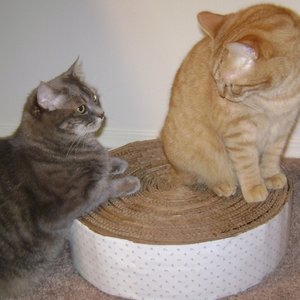 Wykonanie maty dla kota – krok czwarty