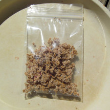 Zbieranie nasion pomidorów – krok piąty