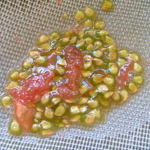 Zbieranie nasion pomidorów – krok trzeci