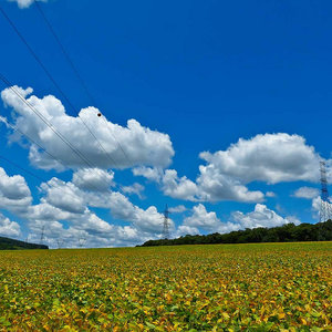 Co zapowiada ładną pogodę latem?