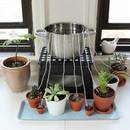 Jak zadbać o podlewanie kwiatów podczas wyjazdu?