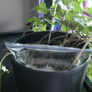 System automatycznego podlewania – krok czwarty