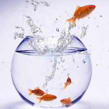 Wymiana wody w akwarium krok po kroku