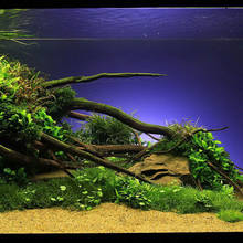 Jak zrobić korzeń do dekoracji akwarium?