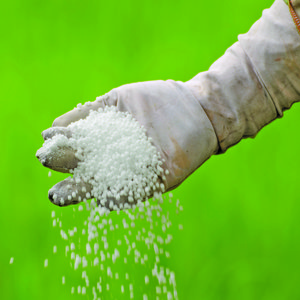 Czy nawozy mineralne są lepsze od organicznych?