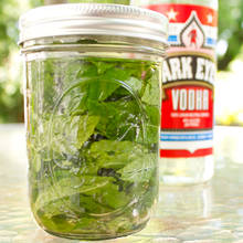 Jak przyrządzić wyciąg z mięty pieprzowej?